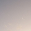 企鵝