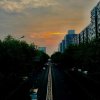 yanzhenglei的。