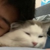 巴掌