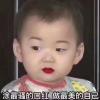 小叶