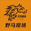 野马现场YEMALive