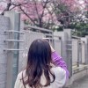 和苒