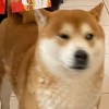 清唱謝宜臻
