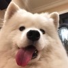 Yu