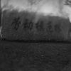 倒霉的草莓中了我的圈套