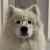 yi_ling60072