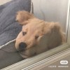 蕭ت