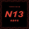 N13