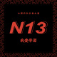 N13