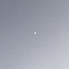 ynn_163