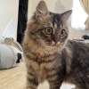 Len
