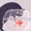 Meow