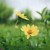 young_waterfall_mb5