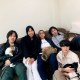 爆揍貓咪