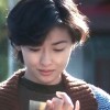藤井树的树