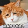 我是你隔壁二大爷。
