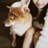 yu_fu_