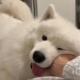陳泉