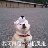 yuanwt