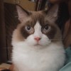 玥