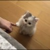 思源