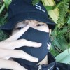 江鳥羽