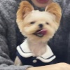 超級狗勾王