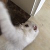 yukilty