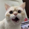 Lun
