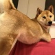筠珊
