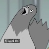 方方
