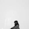 Yunyin Liu