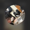 黃宇睿