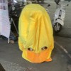 蔡