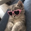葉子