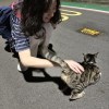 victoria ⸝⸝ʚ̴̶̷̆ ̯ʚ̴̶̷̆⸝⸝