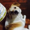 小帅哥