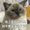 小凡