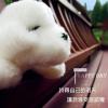 瑜儿的生活