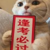 噗噗噗噗通