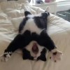 yyyyyyyy_OvO