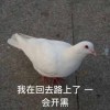 葡萄哥