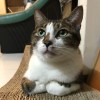 zac8434