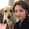 我尽力了
