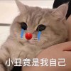 阿里巴巴大俠