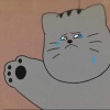 zhuzhu