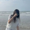 zhen0816