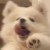 小石