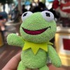 zhenyou_chao