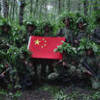 zhichizhongguo